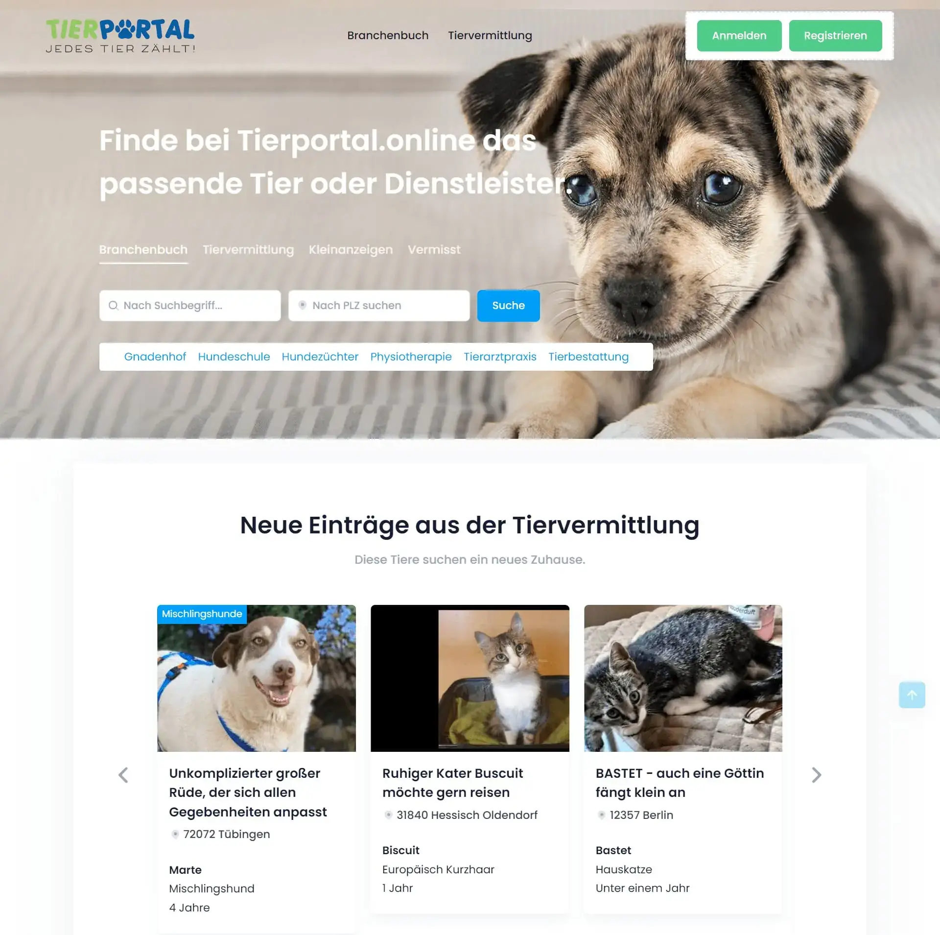 TierPortal Homepage Screenshot